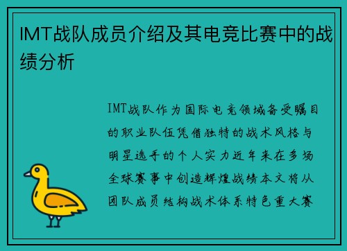 IMT战队成员介绍及其电竞比赛中的战绩分析