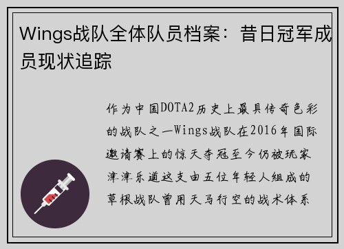Wings战队全体队员档案：昔日冠军成员现状追踪